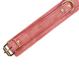 Rose Luxury Pink Suede Bondage Kit with Storage Case