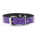 Deluxe Leather BDSM Slave Collar Adjustable with Locking Buckle | Nikita Collection