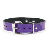 Premium Leather BDSM Rena Collar with Buckle, Fetish Bondage Gear | Rena Collection
