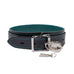 Avery Bondage 11 Piece Lockable Leather Restraints Kit
