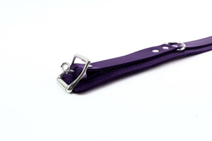 Premium Latigo Leather BDSM Collar and Leash Set | Atlanta Collection