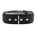 Atlas V 1.5" Collar Luxury Chinchilla Fur Leather Collar