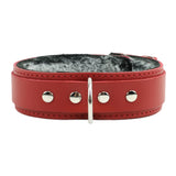 Luxury Chinchilla Fur Leather Bondage Collar 1.5" | Atlas Collection