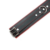Premium Full Grain Leather BDSM Collar and Leash - Soft Padded Restraint Set | Madison Collection