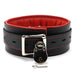 Madison Leather Collar and Leash Softest Full Grain Leather Padded