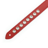 Premium Leather BDSM Submissive Collar - Handmade Kinky Bondage Neckwear | Maxim Collection